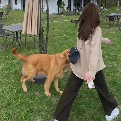 我的超能叔叔