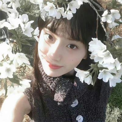 李卫当官3